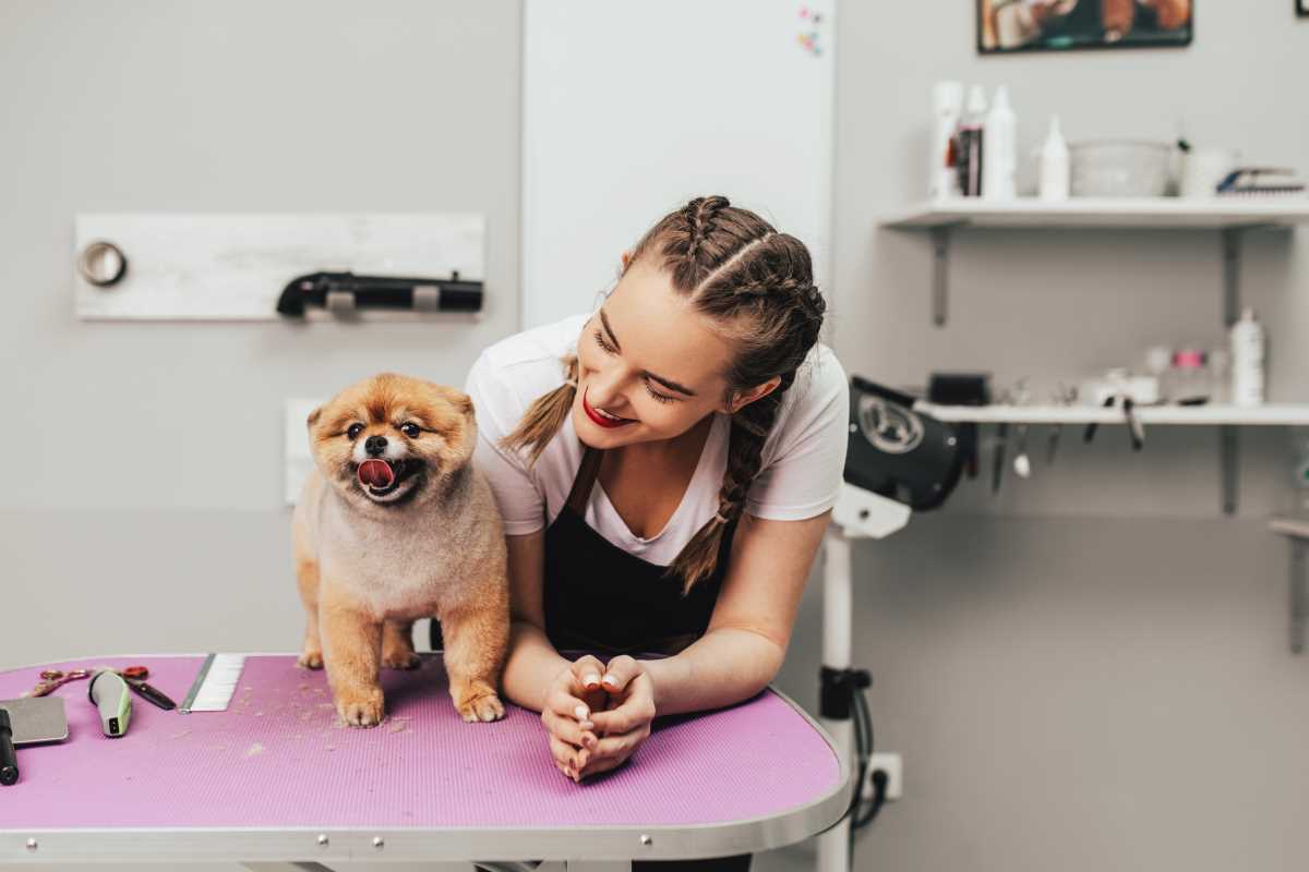 Choosing the Best Dog Grooming Service Near You